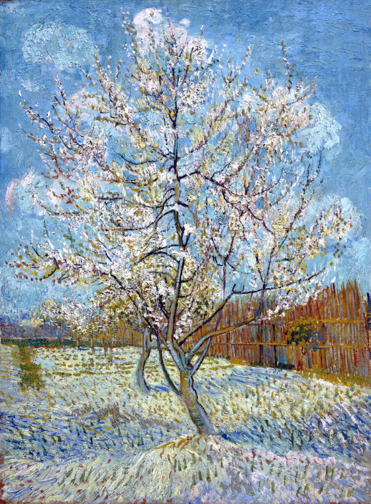 Описание картины Винсента Ван Гога Персиковое дерево в цвету