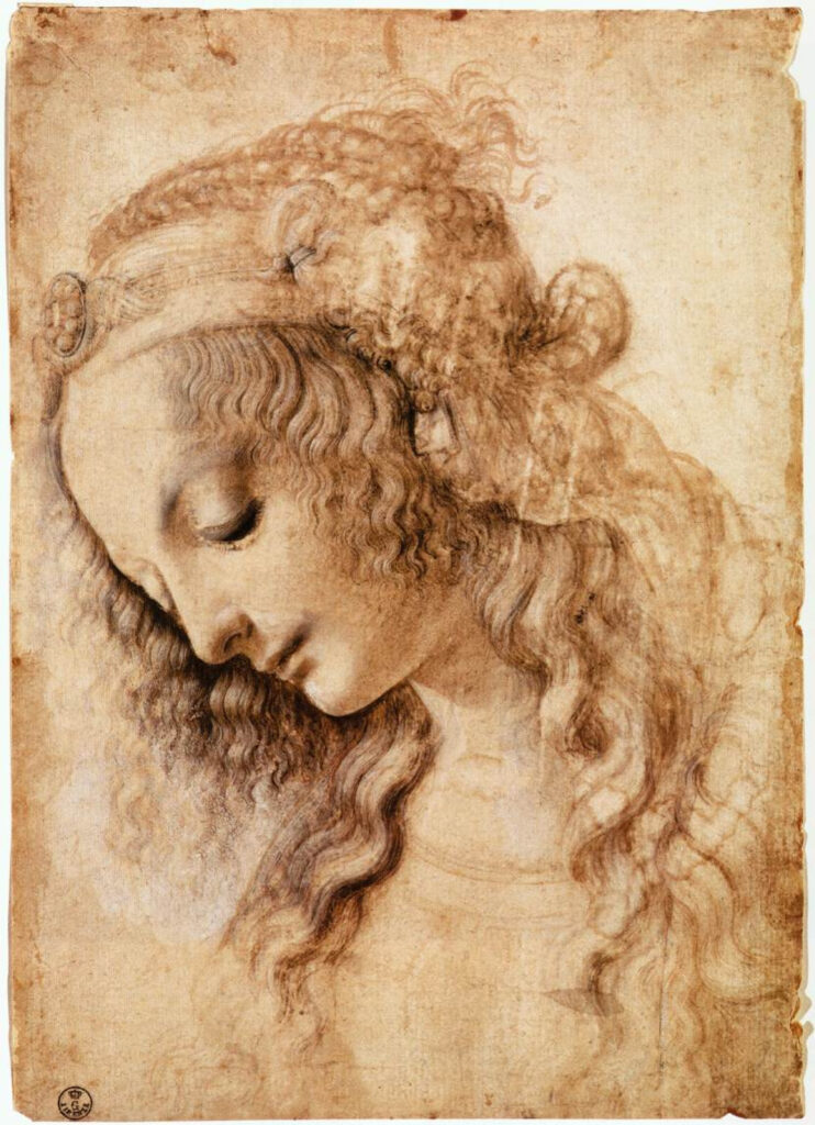 Анализ картины Леонардо да Винчи Голова женщины