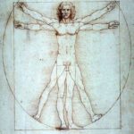 Анализ картины Леонардо да Винчи Витрувианский человек