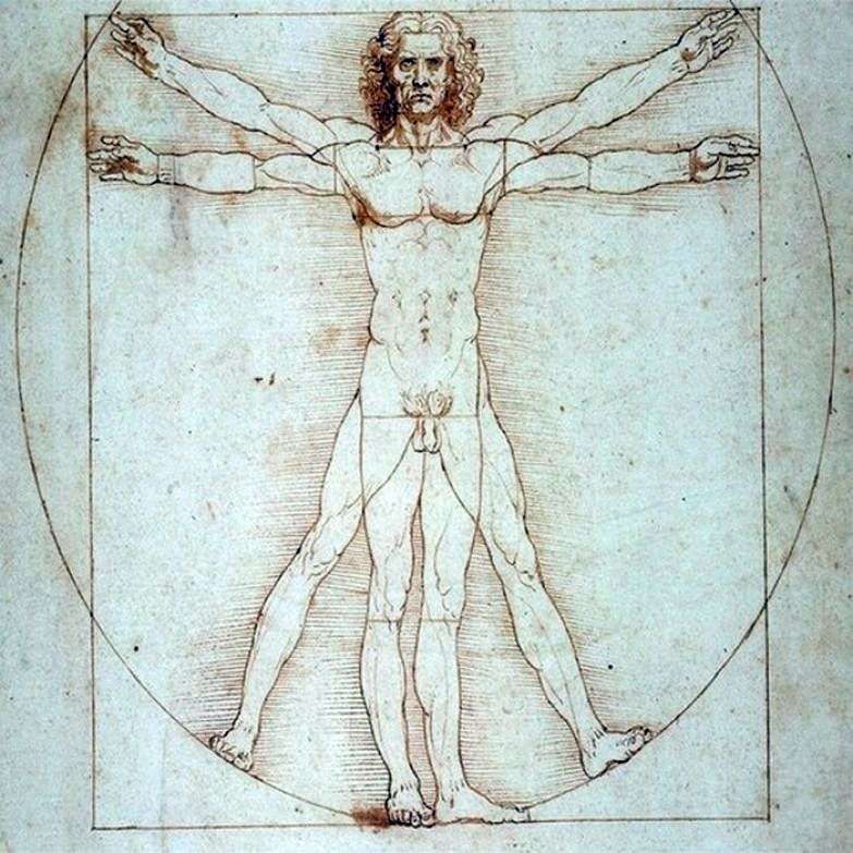 Анализ картины Леонардо да Винчи Витрувианский человек