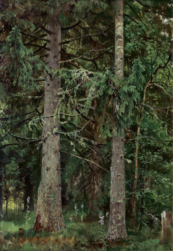 Картина Ивана Шишкина Еловый лес